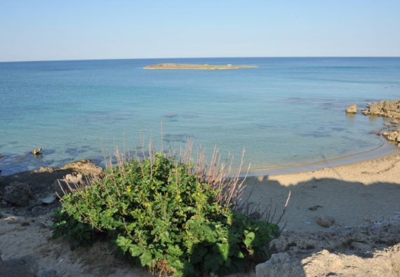 Isola Pazze - Torre San Giovanni