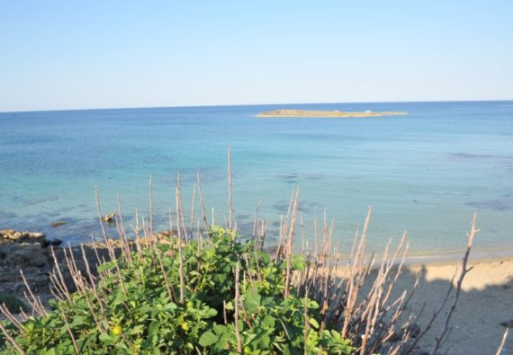 Isola Pazze - Torre San Giovanni